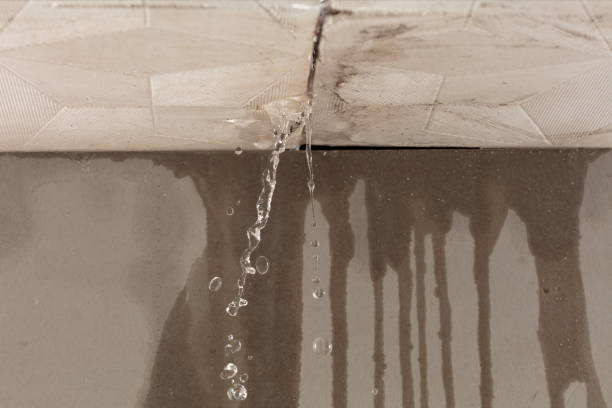 Professional Sewage Cleanup technician working in Fostoria, MI